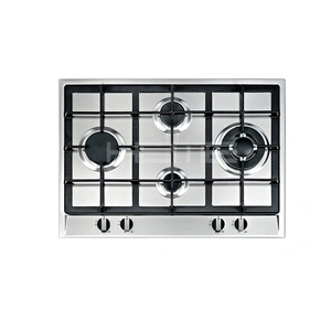 Built-in Gas stove